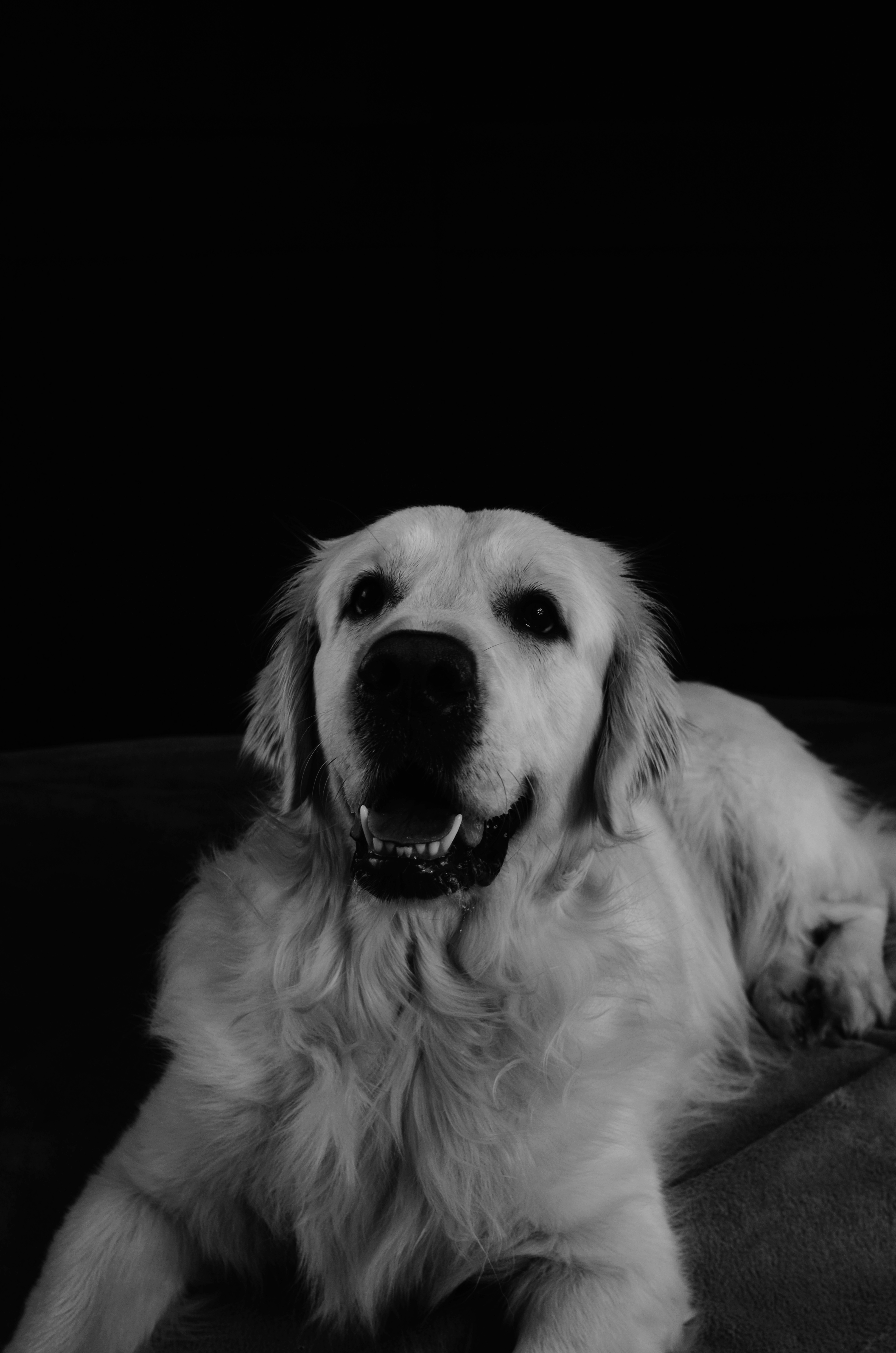 DSC_0589.JPGgf